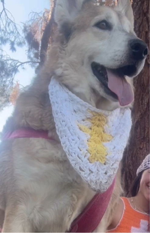 Crochet Cross Dog Bandanna