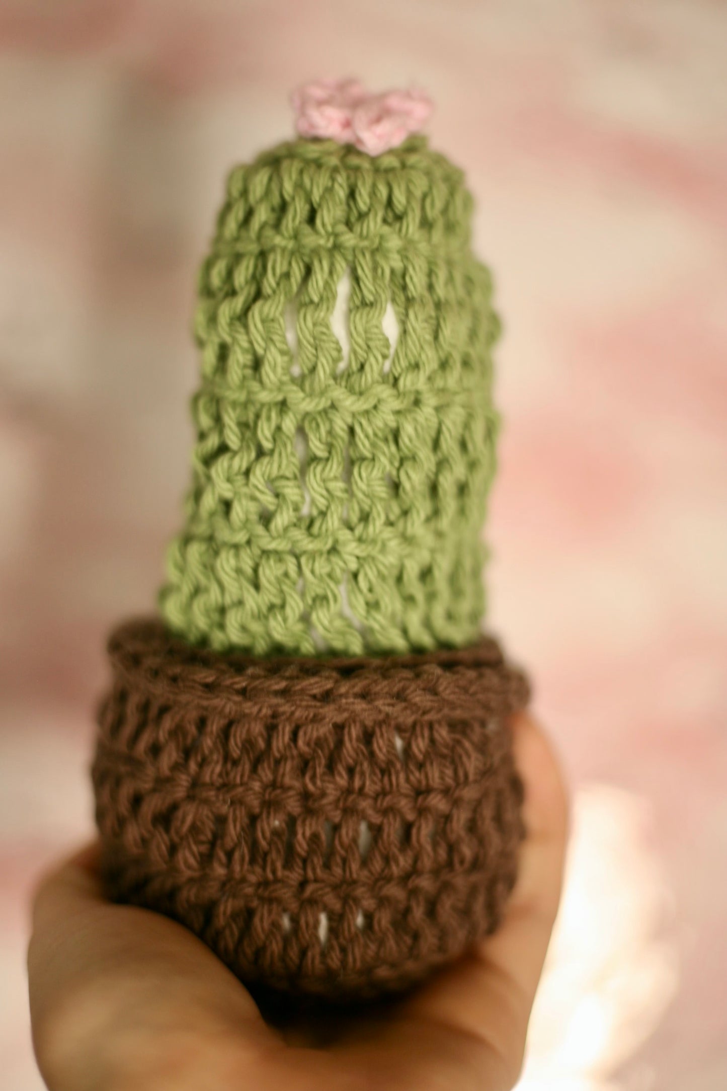 Crochet Forever Cactus