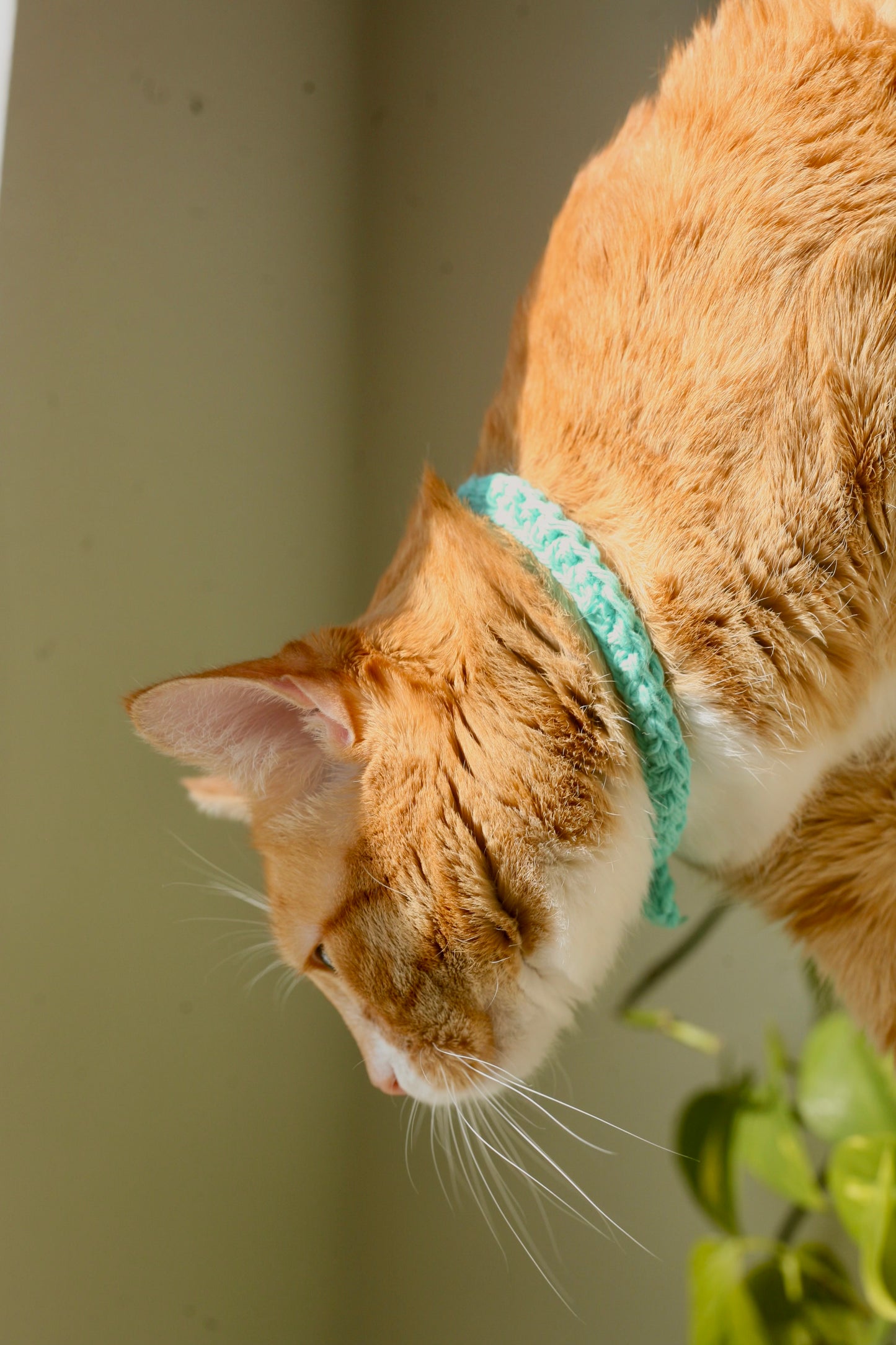 Crochet Trinity Cat Collar