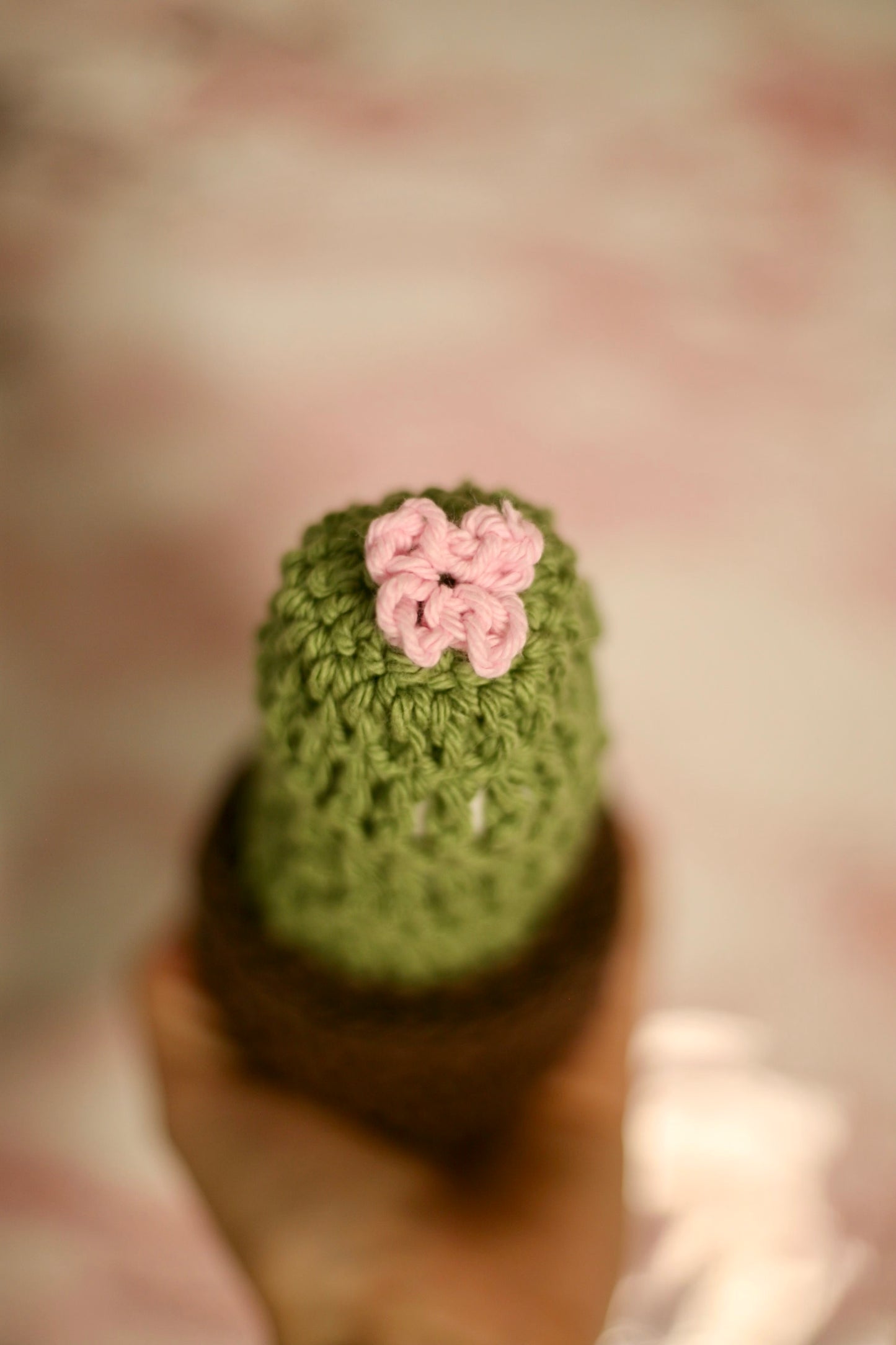 Crochet Forever Cactus