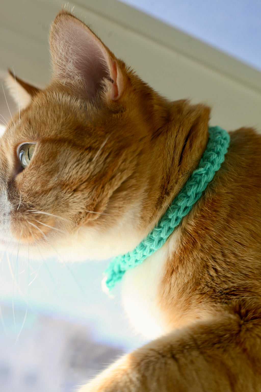 Crochet Trinity Cat Collar