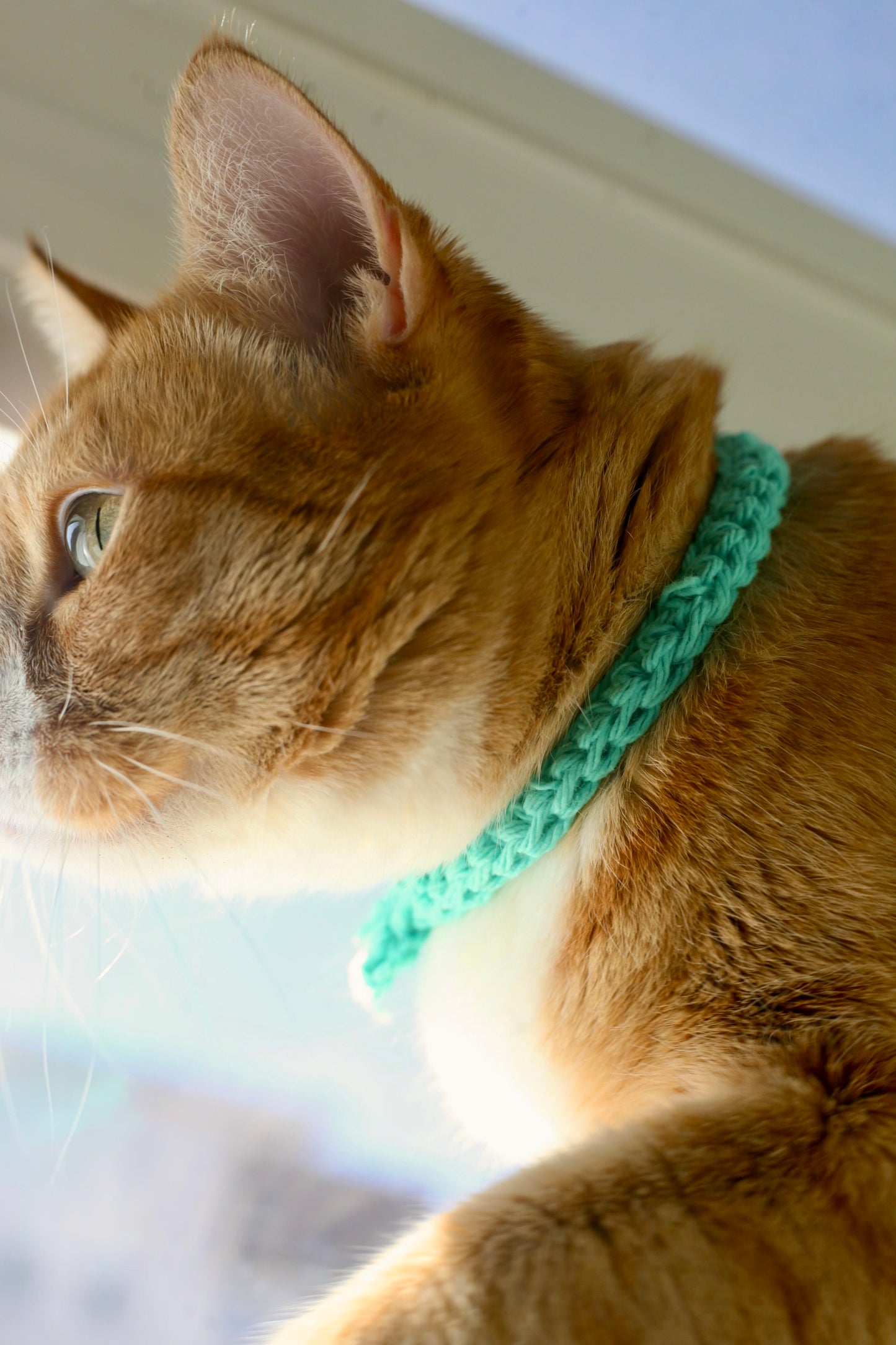 Crochet Trinity Cat Collar
