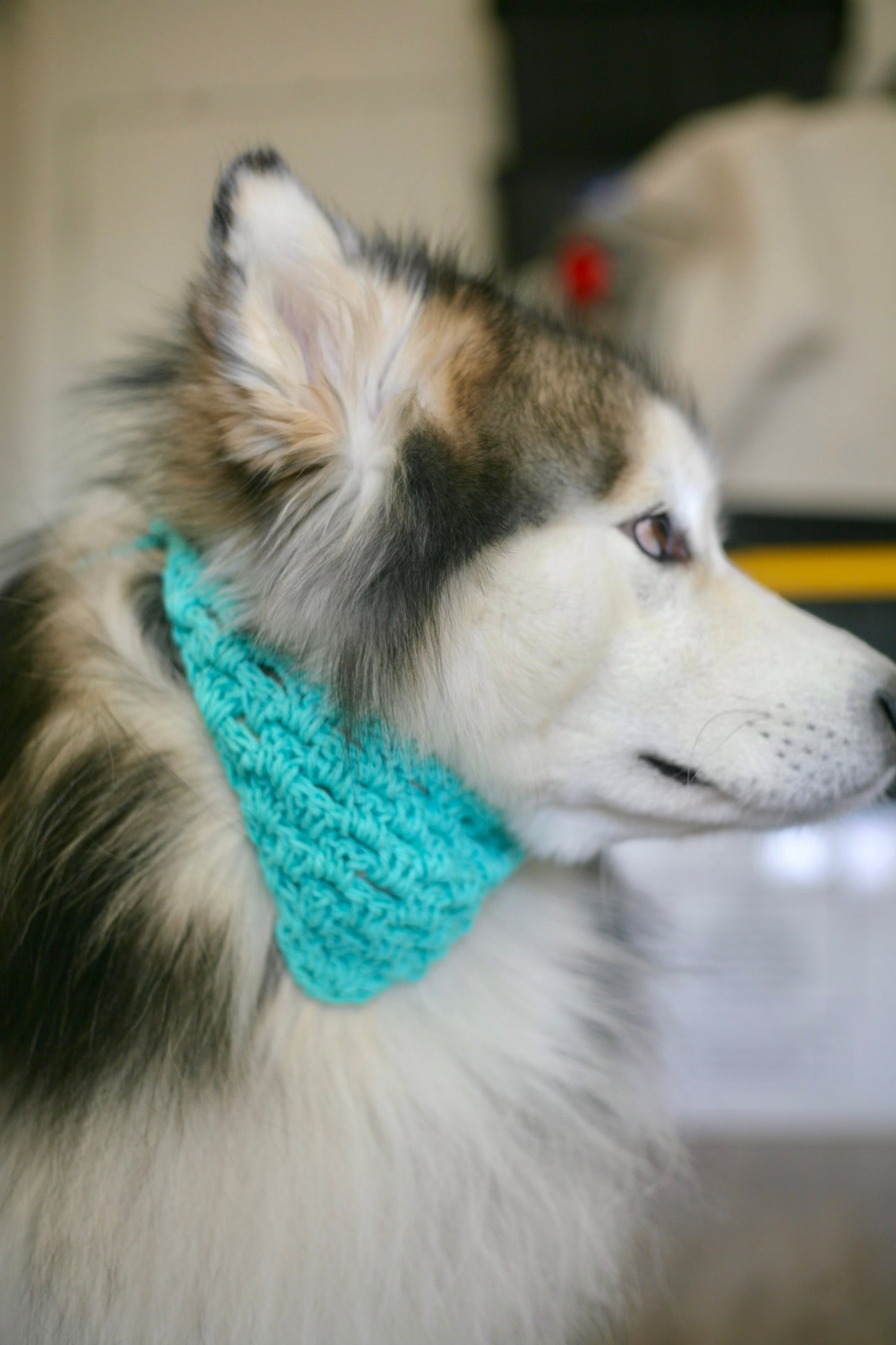 Crochet Trinity Dog Bandanna