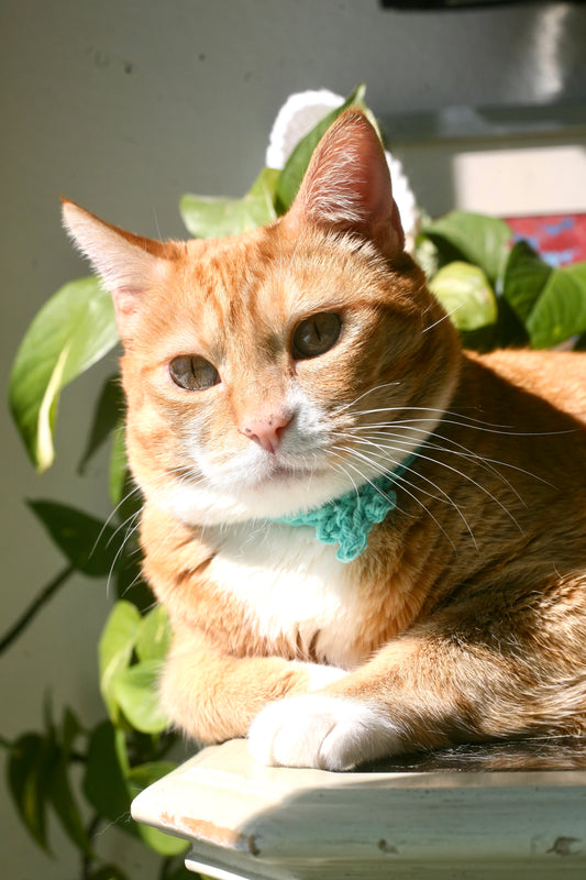 Crochet Trinity Cat Collar