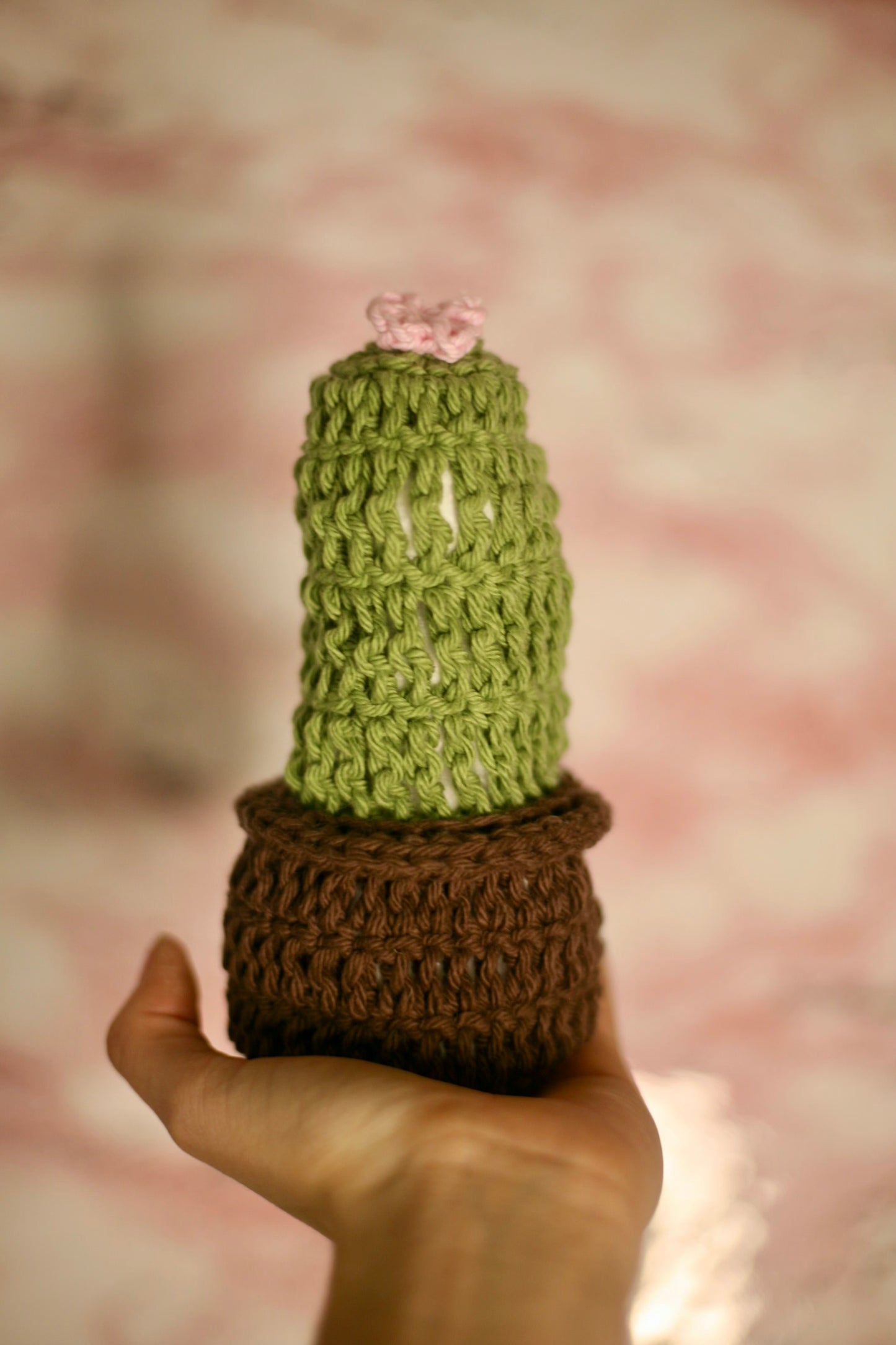 Crochet Forever Cactus