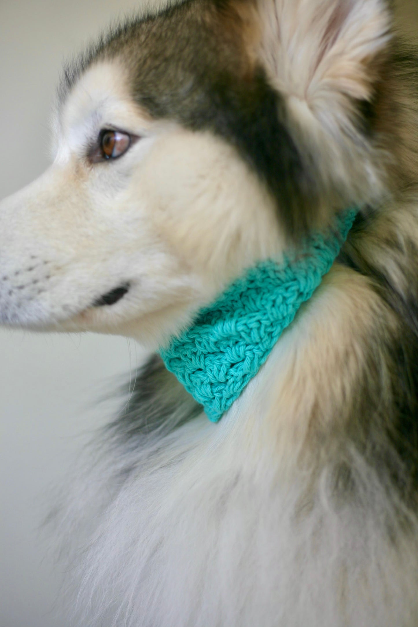 Crochet Trinity Dog Bandanna