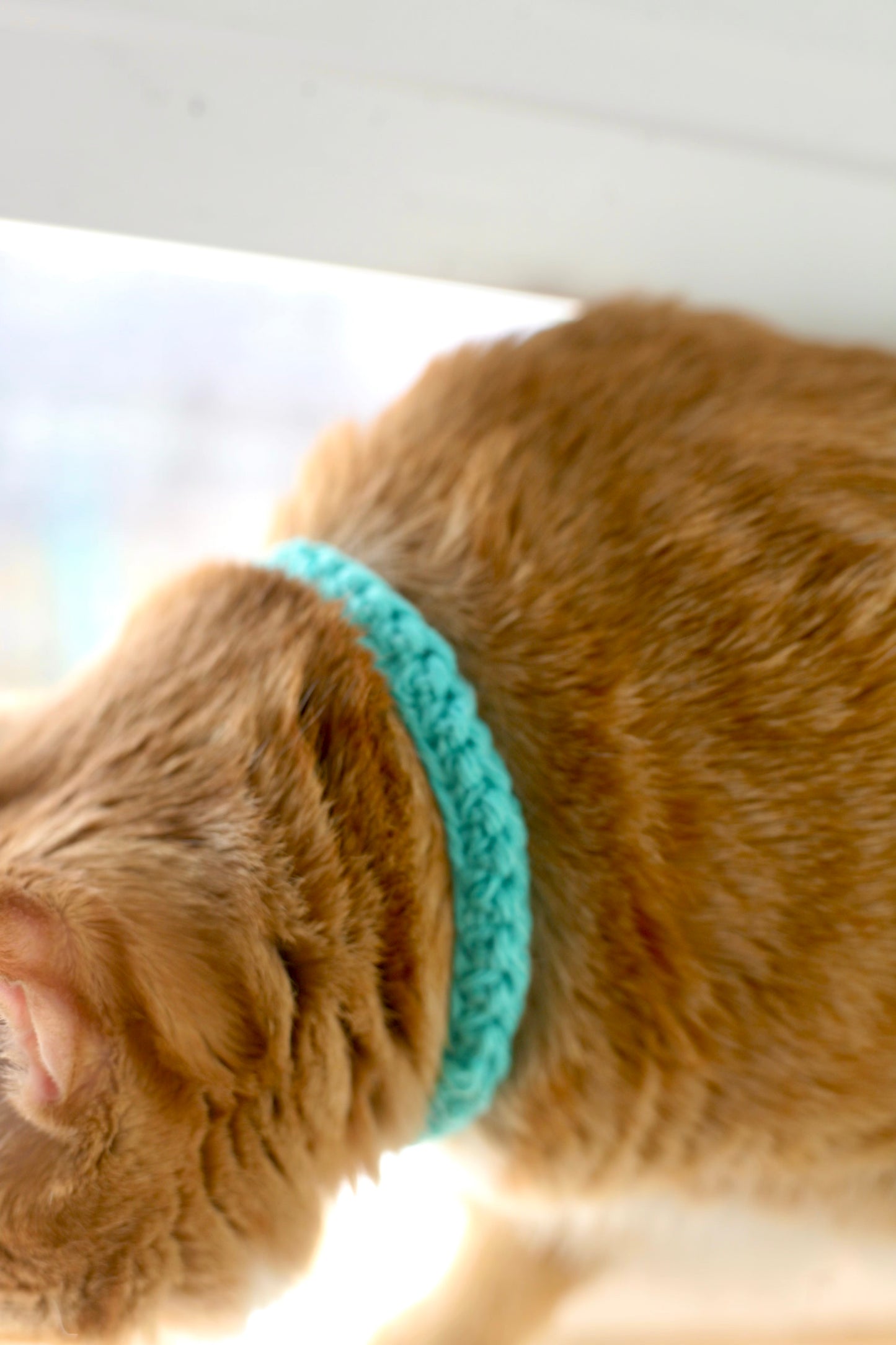 Crochet Trinity Cat Collar